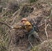 Timber Fire