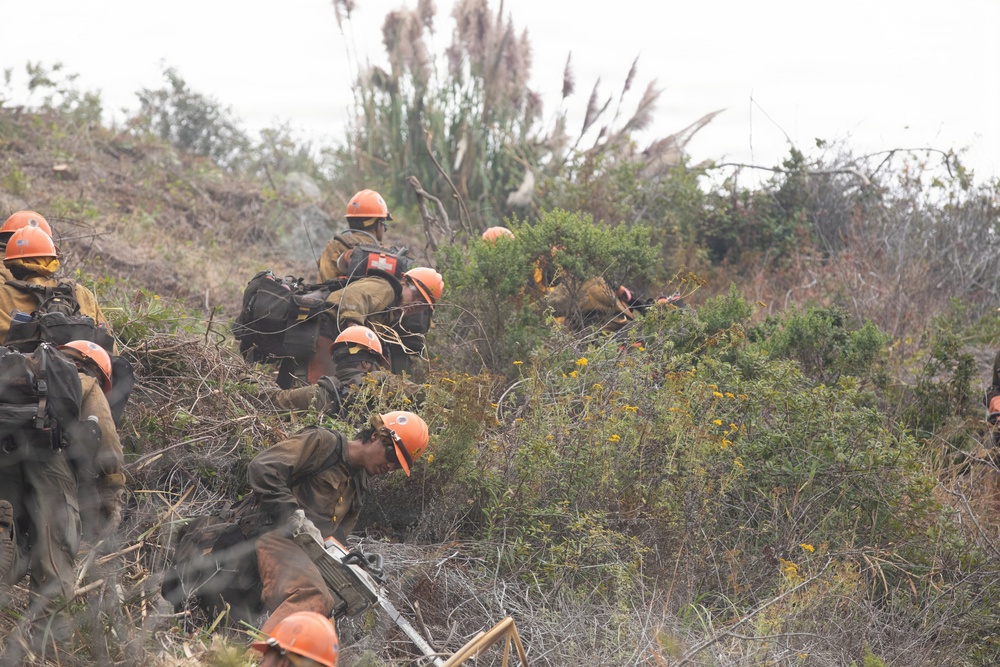 Timber Fire