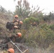 Timber Fire
