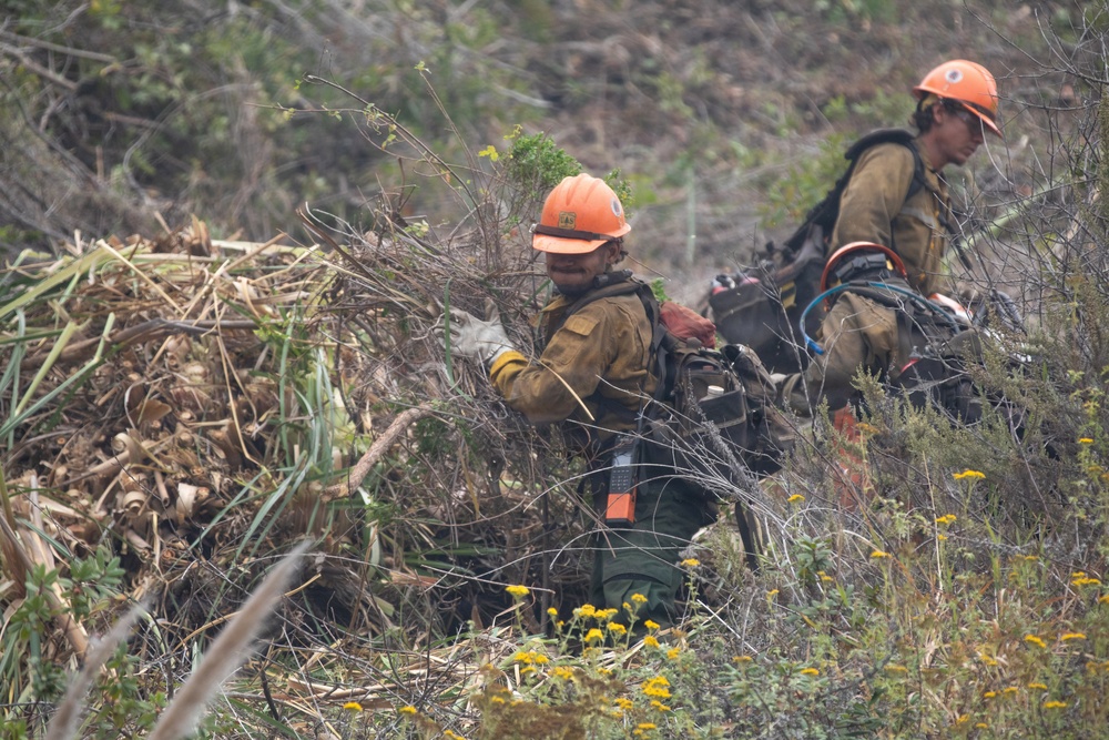 Timber Fire