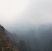 Timber Fire