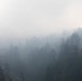 Timber Fire