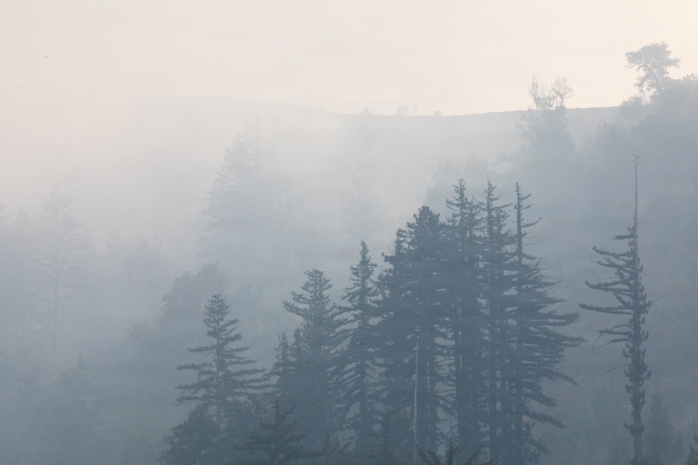 Timber Fire