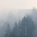 Timber Fire