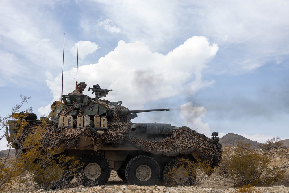 A wheeled armored fighting vehicle, consistent with an LAV-25 or similar 8-wheeled light armored vehicle, is firing its main cannon in a desert training environment. The vehicle is draped in camouflage netting and equipped with radio antennas, with a crew member visible in the commander's hatch. Smoke from the cannon discharge is visible behind the vehicle against a partly cloudy sky.