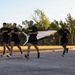 A group of U.S. Army soldiers in physical training (PT) uniforms are running together on a paved road at what appears to be a military installation. The soldiers are wearing matching black Army PT shirts and shorts with gold lettering. In the background, a static display of what appears to be a missile or rocket is visible behind a fence.