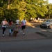 A group of runners is jogging along a paved path near a road, with two dogs on leashes accompanying them. The scene appears to be an organized group run or casual jog in an urban park setting during golden hour lighting. Several cars, including a BMW and a Volkswagen with German license plates, are visible on the adjacent road.