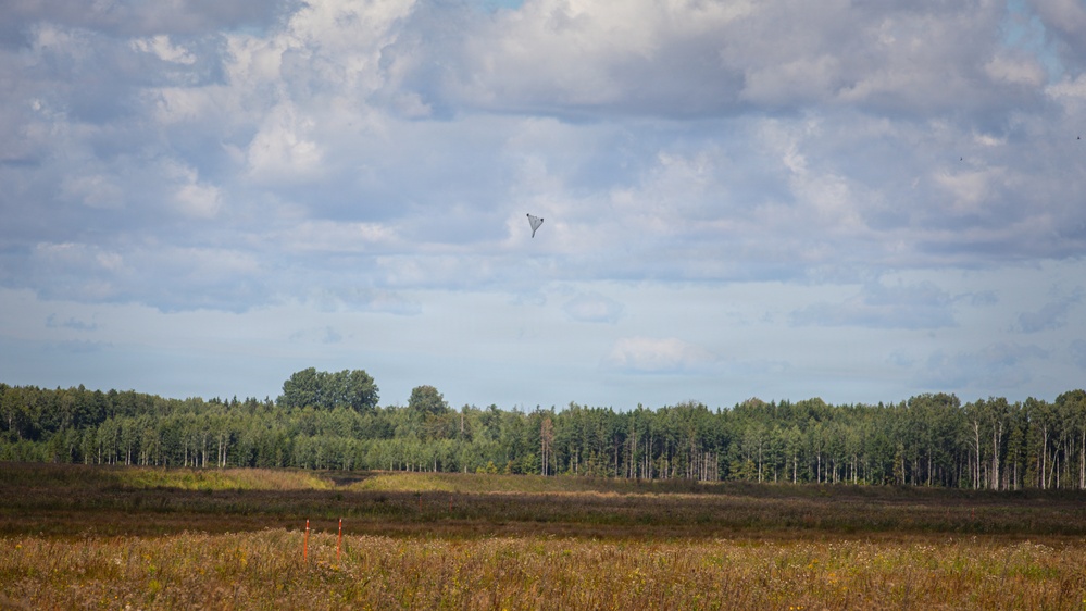An outdoor landscape scene showing an open field with dry grassland in the foreground and a dense treeline in the background. A small dark triangular or delta-winged object — likely a drone or small aircraft — is visible in the sky above the treeline. The sky is partly cloudy with scattered cumulus clouds.
