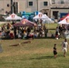 SETAF-AF hosts annual Bring Your Lion Cub to Work Day event