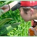 Bonding over bugs: How a U.S. Army entomologist and his daughter share a passion for science