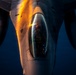 F-16s refueled over CENTCOM AOR