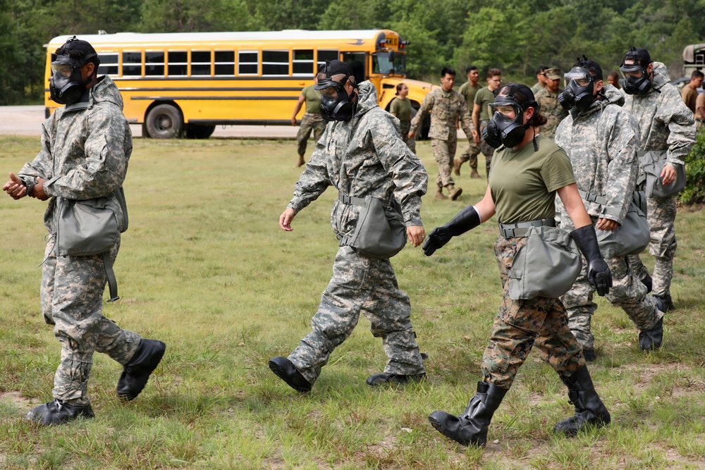 Marines and Soldiers conduct CBRN training during Northern Strike 26-2
