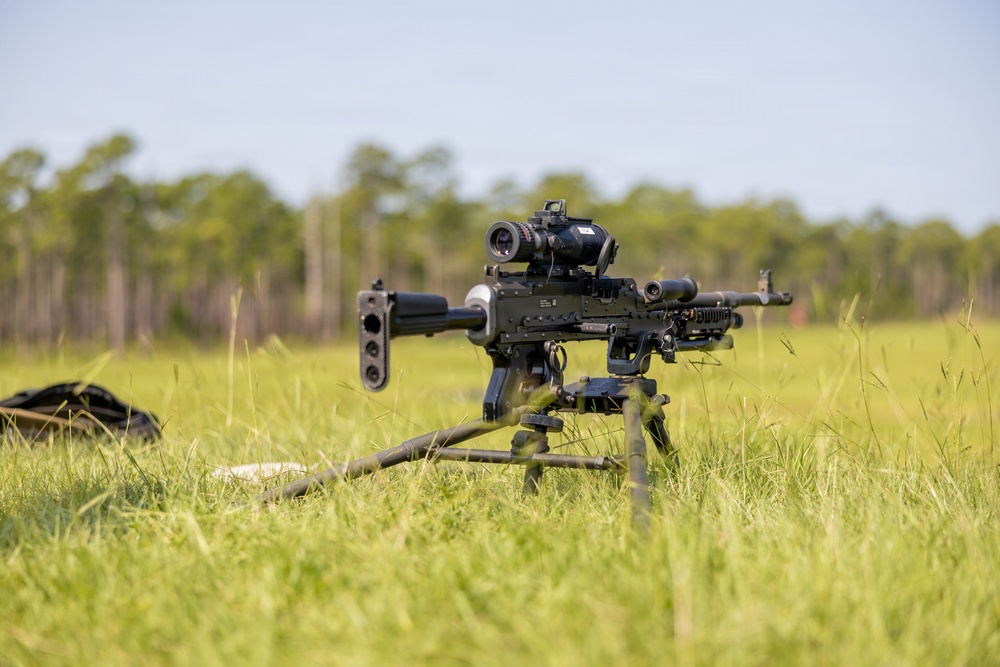 Live Fire Machine Gun Range – Burmese Chase 26