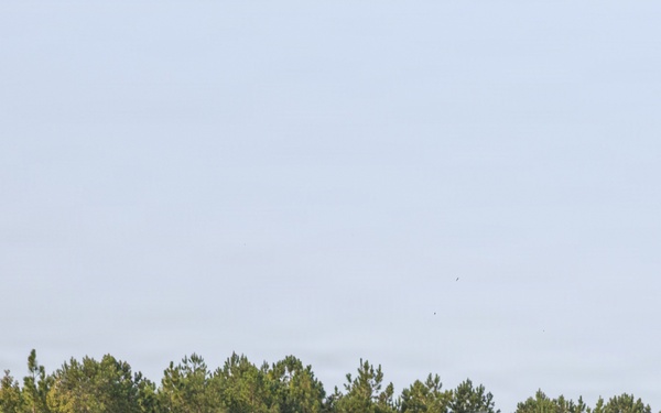 Golf Battery Artillery Support Burmese Chase 26