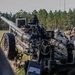 Golf Battery Artillery Support Burmese Chase 26