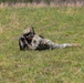 1st Battalion, 3d U.S. Infantry Regiment (The Old Guard) Live Fire Exercise