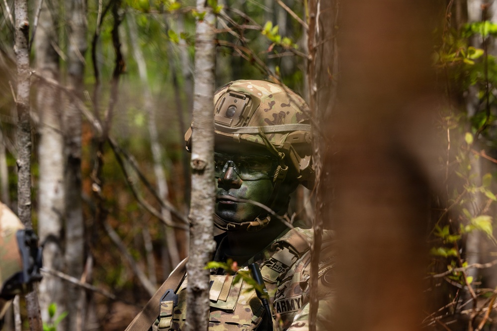1st Battalion, 3d U.S. Infantry Regiment (The Old Guard) Live Fire Exercise