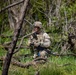 1st Battalion, 3d U.S. Infantry Regiment (The Old Guard) Live Fire Exercise