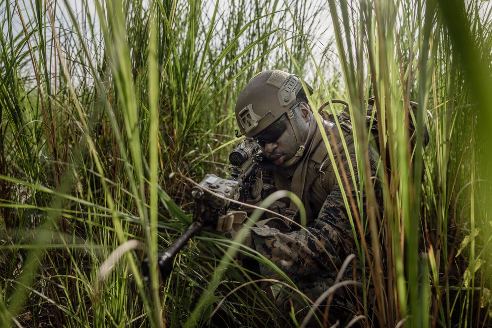 A soldier in full combat gear is positioned low in tall grass, aiming a rifle with an optical scope. The individual is wearing digital camouflage uniform consistent with USMC MARPAT pattern, a tan tactical helmet, and protective eyewear. The scene depicts a concealed tactical position in a dense vegetation environment.