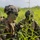 PANAMAX-26: V1/6, Partner forces conduct simulated air raid The image shows military personnel in full combat gear positioned in a field of tall green grass, likely during a training exercise or field operation. The foreground soldier wears MARPAT (Marine pattern) camouflage, a tan tactical helmet with communications equipment, tactical vest, and sunglasses with green face paint applied. At least two additional soldiers are visible in the background wearing similar gear.