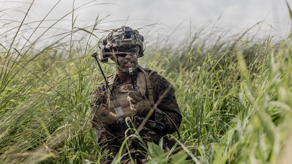 A fully equipped military service member is positioned low in tall green grass, appearing to communicate via radio handset. The soldier is wearing MARPAT (Marine pattern) camouflage uniform and a tactical helmet with mounted equipment, suggesting U.S. Marine Corps affiliation. The image captures a field training or operational scenario in an outdoor, overcast environment.