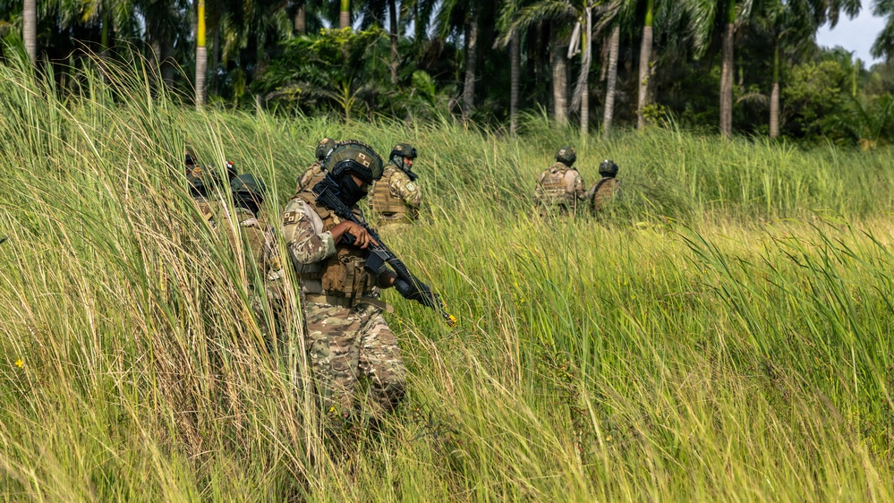 A group of armed military personnel in full tactical gear are moving through tall grass in a tropical environment. The soldiers are wearing multicam camouflage uniforms, helmets, body armor, and carrying assault rifles. The setting appears to be a training exercise or patrol operation in a jungle or tropical region.