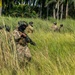 A group of armed military personnel in full tactical gear are moving through tall grass in a tropical environment. The soldiers are wearing multicam camouflage uniforms, helmets, body armor, and carrying assault rifles. The setting appears to be a training exercise or patrol operation in a jungle or tropical region.