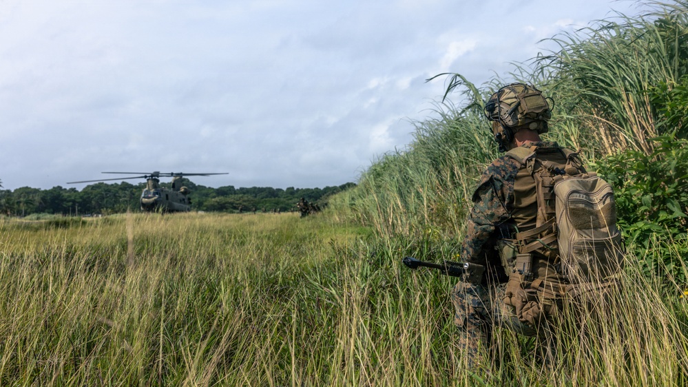 A soldier in full combat gear, wearing MARPAT woodland camouflage, is kneeling in tall grass at the edge of a field while observing a CH-47 Chinook helicopter on or near the ground in the background. Additional personnel are visible near the helicopter in the mid-ground. The scene appears to depict a military helicopter insertion or extraction operation in a lush, green field environment.