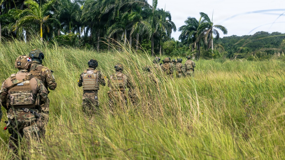 A column of military personnel in camouflage uniforms and tactical gear moves in single file through tall grass toward a tree line of palm trees. At least one soldier on the left displays what appears to be a Panamanian flag patch on their shoulder, suggesting a multinational or joint military exercise. The setting appears to be a tropical environment consistent with Central America or the Caribbean.