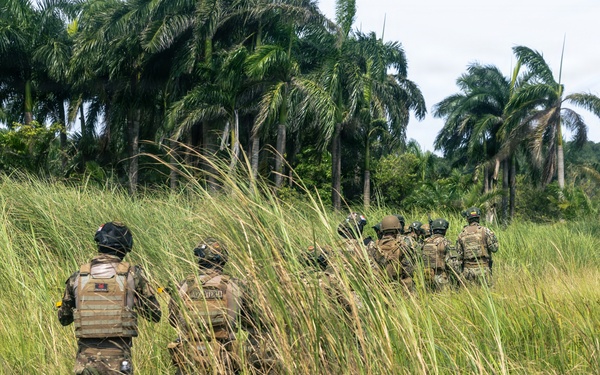 PANAMAX-26: V1/6, Partner forces conduct simulated air raid