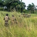 A column of military personnel in camouflage uniforms and tactical gear moves in single file through tall grass toward a tree line of palm trees. At least one soldier on the left displays what appears to be a Panamanian flag patch on their shoulder, suggesting a multinational or joint military exercise. The setting appears to be a tropical environment consistent with Central America or the Caribbean.