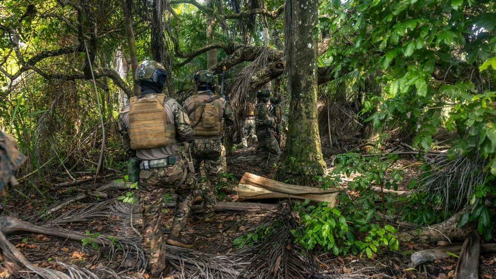 A group of military personnel in full tactical gear are moving through dense jungle terrain in a single-file patrol formation. The soldiers are equipped with helmets, body armor, and tactical vests, suggesting a training exercise or operational patrol. The environment features thick tropical vegetation with fallen logs and palm fronds on the forest floor.