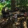 PANAMAX-26: V1/6, Partner forces conduct simulated air raid The image shows multiple armed military or special operations personnel in full tactical gear operating in a dense jungle or tropical forest environment. The soldiers are wearing camouflage uniforms, tactical helmets, and face coverings, and are carrying assault rifles in a ready position. Visible patches suggest multinational participation, possibly a joint training exercise.