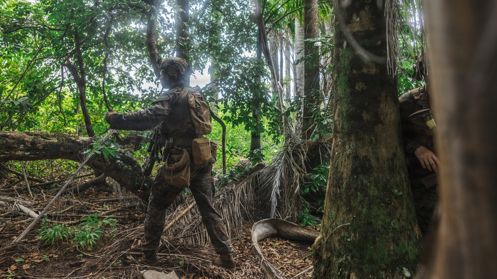 The image shows at least two individuals in military or tactical camouflage gear moving through a dense tropical jungle environment. The primary figure is visible from behind, carrying a backpack and equipment, appearing to navigate through fallen logs and thick vegetation. A second individual is partially visible behind a large tree trunk on the right side of the frame.