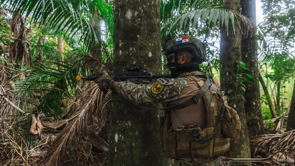 A uniformed soldier wearing Panamanian flag patch on helmet is positioned behind a tree in a tropical jungle environment, aiming a rifle. The soldier is equipped with full tactical gear including a plate carrier, backpack, and helmet with optics. The setting appears to be a training exercise or patrol operation in dense tropical vegetation.