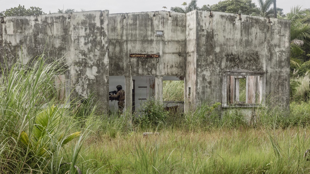 The image shows an abandoned, deteriorating concrete structure in a tropical environment overgrown with tall grass and vegetation. A single armed and helmeted individual in military-style camouflage gear is visible in the doorway of the structure, appearing to conduct a tactical entry or clearing operation. The building shows significant weathering, moss growth, and structural decay consistent with long-term abandonment.