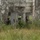 PANAMAX-26: V1/6, Partner forces conduct simulated air raid The image shows multiple armed personnel in camouflage uniforms conducting what appears to be a tactical training exercise or clearing operation at an abandoned, deteriorating concrete structure. The building shows significant weathering, vegetation overgrowth, and structural decay. Personnel are positioned at entry points and along the exterior wall of the structure.