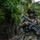 PANAMAX-26: V1/6, Partner forces conduct simulated air raid A column of armed military or special operations personnel is patrolling along a paved road bordered by dense tropical vegetation and a chain-link fence. The lead soldier in the foreground is in full tactical gear, carrying an assault rifle with an underbarrel attachment. The tropical environment and vegetation suggest a Central or South American or Southeast Asian setting.