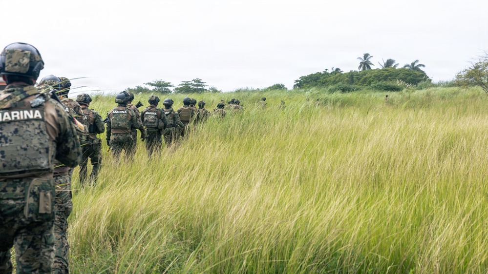 A column of armed military personnel wearing 'MARINA' (Mexican Navy) insignia advances through tall grass in a tropical environment. The personnel are equipped with tactical gear, helmets, body armor, and firearms. The scene appears to depict a field operation or training exercise in a coastal or lowland tropical region.