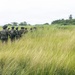 A column of armed military personnel wearing 'MARINA' (Mexican Navy) insignia advances through tall grass in a tropical environment. The personnel are equipped with tactical gear, helmets, body armor, and firearms. The scene appears to depict a field operation or training exercise in a coastal or lowland tropical region.