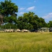 Training operations for 86th Training Division’s Warrior Exercise/Regional Medic 2026 at Fort McCoy
