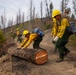 A crew of wildland firefighters wearing standard yellow Nomex fire-resistant clothing and hard hats are working on post-fire rehabilitation in a burned forest area. Two workers in the foreground are rolling or moving a large freshly-cut log off a dirt trail, while additional crew members are visible working in the background on a hillside covered with charred, standing-dead trees. The scene depicts active mop-up or hazard-tree removal operations following a significant wildfire.