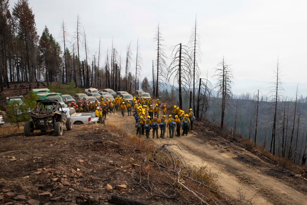 A large crew of wildland firefighters is assembled on a dirt ridge road surrounded by fire-damaged, charred trees. Personnel wearing yellow Nomex shirts and hard hats (orange and red) are gathered in a briefing or staging formation alongside multiple government vehicles. The scene shows significant burn damage to the surrounding forest with smoke visible in the background valley.