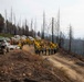 A large crew of wildland firefighters is assembled on a dirt ridge road surrounded by fire-damaged, charred trees. Personnel wearing yellow Nomex shirts and hard hats (orange and red) are gathered in a briefing or staging formation alongside multiple government vehicles. The scene shows significant burn damage to the surrounding forest with smoke visible in the background valley.