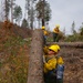 A crew of wildland firefighters in standard yellow Nomex shirts and green pants are working in a fire-affected forest area. The foreground worker is pushing or steadying a freshly cut tree trunk, visible by the fresh wood cuts at its base. Additional crew members are visible in the background handling brush and fallen logs.