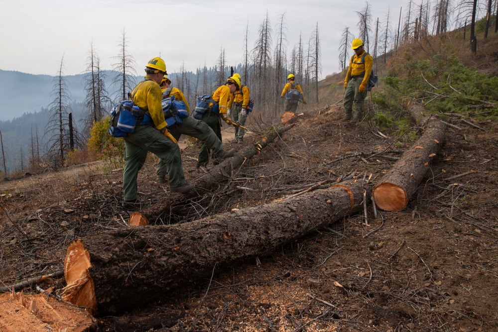 A crew of wildland firefighters in standard yellow Nomex shirts and green pants navigate a fire-damaged hillside, stepping over freshly cut logs. The scene shows a post-fire landscape with charred standing trees, cleared brush, and smoke visible in the background valley. The workers appear to be moving along a constructed or cleared fire line.