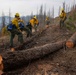 A crew of wildland firefighters in standard yellow Nomex shirts and green pants navigate a fire-damaged hillside, stepping over freshly cut logs. The scene shows a post-fire landscape with charred standing trees, cleared brush, and smoke visible in the background valley. The workers appear to be moving along a constructed or cleared fire line.