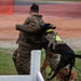 A military or law enforcement K9 training exercise is underway, showing a working dog in tactical gear biting the padded arm of a decoy/agitator wearing a bite sleeve and camouflage uniform. The dog is equipped with a tactical vest labeled 'POLICE' and a yellow identification patch. A second dog, appearing to be a golden/reddish color, is visible in the lower foreground on a leash.