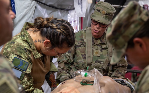 325th Field Hospital responds to simulated mass casualty event during Operation Bold Eagle's Exercise Global Medic 2026