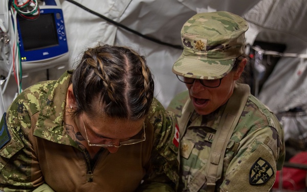 325th Field Hospital responds to simulated mass casualty event during Operation Bold Eagle's Exercise Global Medic 2026